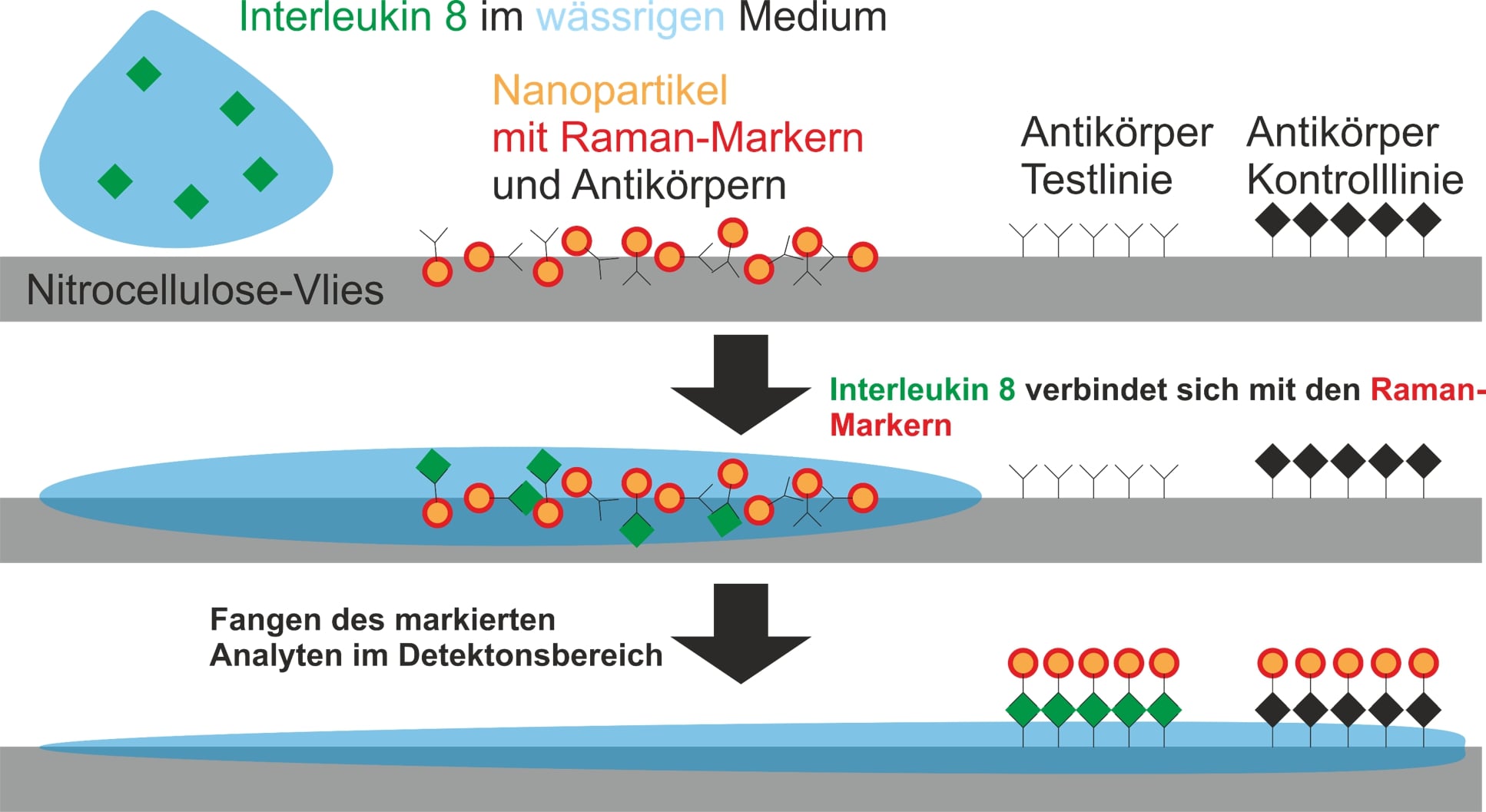 Schnelltests: Vom Ja/Nein bei Corona zu differenziertem Gesundheitsstatus